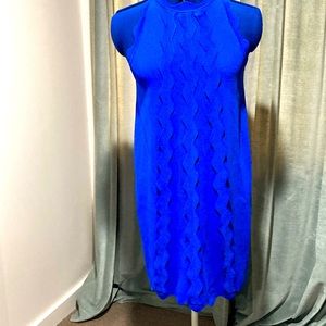 Ted Baker RicRack Knitted Detail Dress